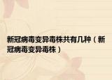 新冠病毒變異毒株共有幾種（新冠病毒變異毒株）