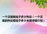 一個(gè)漢堡相當(dāng)于多少熱量（一個(gè)漢堡的熱量相當(dāng)于多少米飯?jiān)敿?xì)介紹）