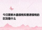 今日更新水晶櫻桃和普通櫻桃的區(qū)別是什么