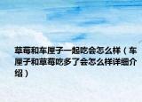 草莓和車?yán)遄右黄鸪詴趺礃樱ㄜ嚴(yán)遄雍筒葺远嗔藭趺礃釉敿?xì)介紹）