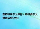 荔枝枝條怎么保存（荔枝要怎么保存詳細(xì)介紹）