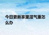 今日更新家里濕氣重怎么辦