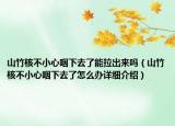 山竹核不小心咽下去了能拉出來嗎（山竹核不小心咽下去了怎么辦詳細(xì)介紹）