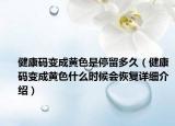 健康碼變成黃色是停留多久（健康碼變成黃色什么時(shí)候會(huì)恢復(fù)詳細(xì)介紹）