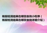 核酸檢測結(jié)果在哪里查詢小程序（核酸檢測結(jié)果在哪里查詢詳細(xì)介紹）