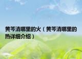 黃芩清哪里的火（黃芩清哪里的熱詳細(xì)介紹）