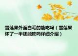 雪蓮果外面白毛的能吃嗎（雪蓮果壞了一半還能吃嗎詳細(xì)介紹）