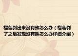 榴蓮剝出來(lái)沒有熟怎么辦（榴蓮剝了之后發(fā)現(xiàn)沒有熟怎么辦詳細(xì)介紹）