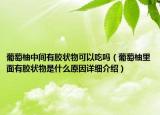葡萄柚中間有膠狀物可以吃嗎（葡萄柚里面有膠狀物是什么原因詳細(xì)介紹）
