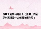 蠶豆上的黑線是什么（蠶豆上面的那條黑線是什么東西詳細(xì)介紹）