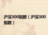 滬深300指數(shù)（滬深300指數(shù)）