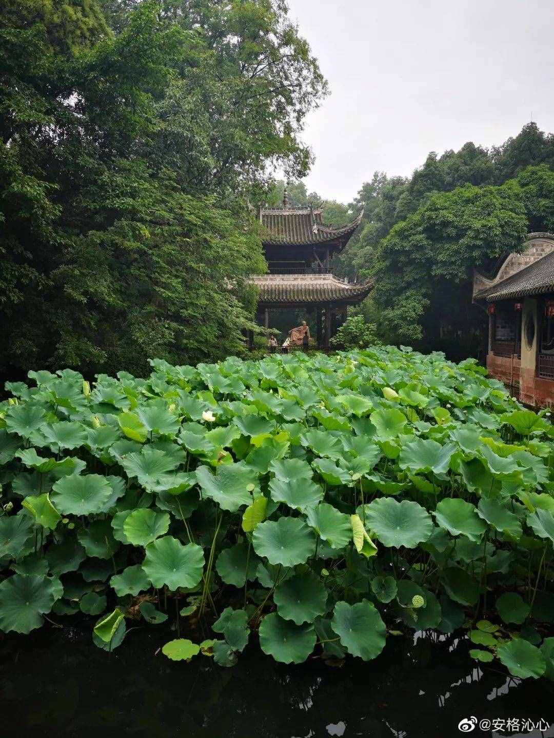喜大普奔！2022年，成都跑西昌最快3小時(shí)！高鐵也在申報(bào)中了