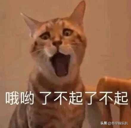11年前大火的《蝸居》為何被禁播？看完緣由真佩服，這劇可真敢拍