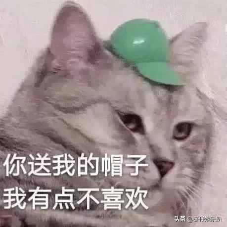 11年前大火的《蝸居》為何被禁播？看完緣由真佩服，這劇可真敢拍