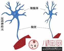 漸凍癥是什么病能治好嗎 漸凍癥在什么人群中常見(jiàn)