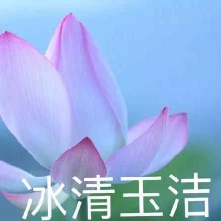 年度必入的10支口紅，阿瑪尼MAC上榜，YSL太驚艷