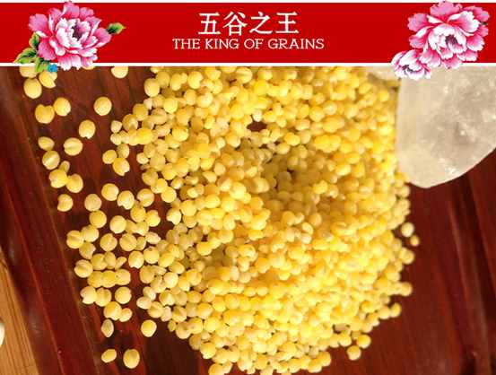 你真的知道什么是小米嗎？