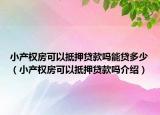 小產(chǎn)權(quán)房可以抵押貸款嗎能貸多少（小產(chǎn)權(quán)房可以抵押貸款嗎介紹）