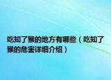 吃知了猴的地方有哪些（吃知了猴的危害詳細介紹）