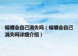 蟑螂會自己消失嗎（蟑螂會自己消失嗎詳細介紹）