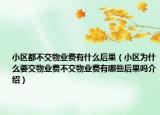 小區(qū)都不交物業(yè)費有什么后果（小區(qū)為什么要交物業(yè)費不交物業(yè)費有哪些后果嗎介紹）