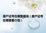 房產(chǎn)證號在哪里查詢（房產(chǎn)證號在哪里看介紹）