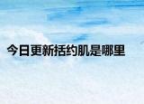 今日更新括約肌是哪里
