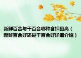 新鮮百合與干百合哪種含鉀量高（新鮮百合好還是干百合好詳細(xì)介紹）