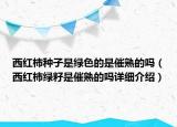 西紅柿種子是綠色的是催熟的嗎（西紅柿綠籽是催熟的嗎詳細(xì)介紹）