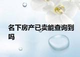 名下房產(chǎn)已賣(mài)能查詢(xún)到嗎