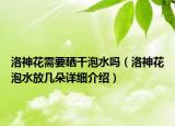 洛神花需要曬干泡水嗎（洛神花泡水放幾朵詳細(xì)介紹）
