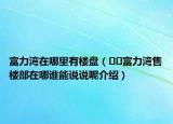 富力灣在哪里有樓盤（??富力灣售樓部在哪誰(shuí)能說(shuō)說(shuō)呢介紹）
