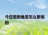 今日更新魚(yú)是怎么繁殖的