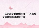 一天吃幾個(gè)麻薯會(huì)胖嗎（一天吃幾個(gè)麻薯會(huì)胖嗎詳細(xì)介紹）