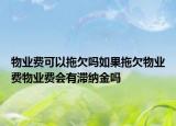 物業(yè)費可以拖欠嗎如果拖欠物業(yè)費物業(yè)費會有滯納金嗎