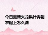 今日更新火龍果汁弄到衣服上怎么洗