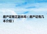 房產(chǎn)證有正副本嗎（房產(chǎn)證有幾本介紹）