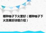哪種柚子下火更好（哪種柚子下火效果好詳細(xì)介紹）