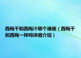 西梅干和西梅汁哪個(gè)通便（西梅干和西梅一樣嗎詳細(xì)介紹）