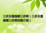 三伏天是指哪三伏?。ㄈ焓侵改娜≡敿?xì)介紹）