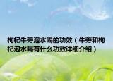 枸杞牛蒡泡水喝的功效（牛蒡和枸杞泡水喝有什么功效詳細(xì)介紹）