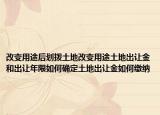 改變用途后劃撥土地改變用途土地出讓金和出讓年限如何確定土地出讓金如何繳納