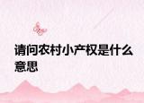 請問農(nóng)村小產(chǎn)權(quán)是什么意思