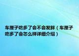 車厘子吃多了會不會發(fā)胖（車厘子吃多了會怎么樣詳細介紹）