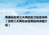 粵康碼變黃三天兩檢后才能變綠嗎（沒有三天兩檢會(huì)變黃碼嗎詳細(xì)介紹）