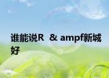 誰能說R  & ampf新城好