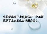 小龍蝦吃多了上火怎么辦（小龍蝦吃多了上火怎么辦詳細介紹）