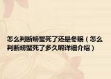 怎么判斷螃蟹死了還是冬眠（怎么判斷螃蟹死了多久呢詳細(xì)介紹）