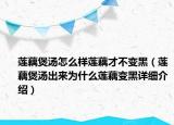 蓮藕煲湯怎么樣蓮藕才不變黑（蓮藕煲湯出來為什么蓮藕變黑詳細(xì)介紹）