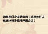 豌豆可以冷凍儲(chǔ)藏嗎（豌豆莢可以放進(jìn)冰箱冷藏嗎詳細(xì)介紹）